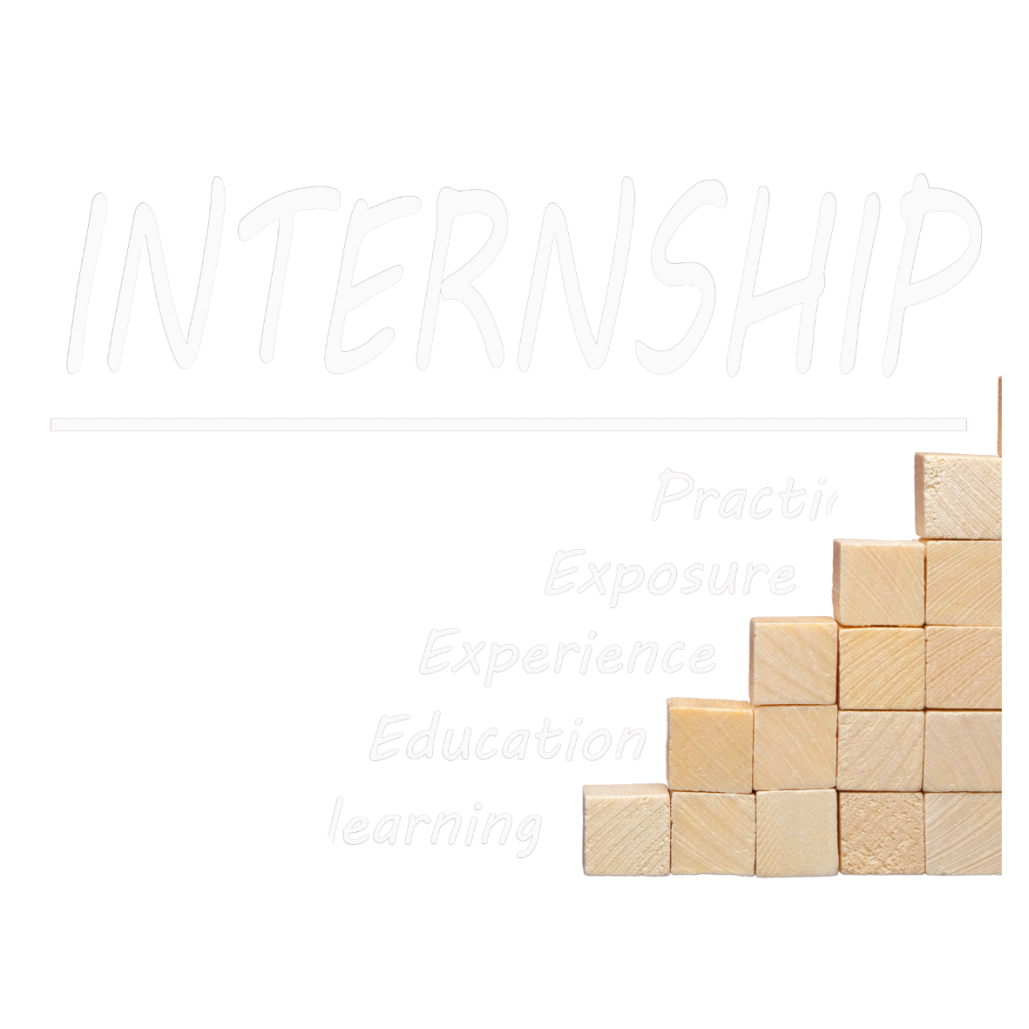 Untitled design (17)